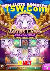 Programa VIP Blbet